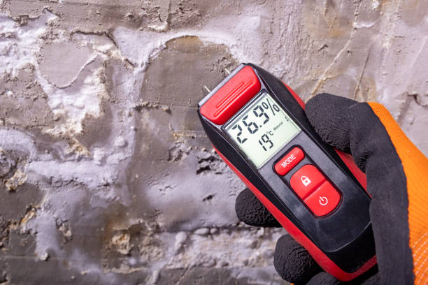 Best Mold Testing  in Laurel Springs, NJ